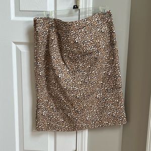 J Crew Skirt Size 6